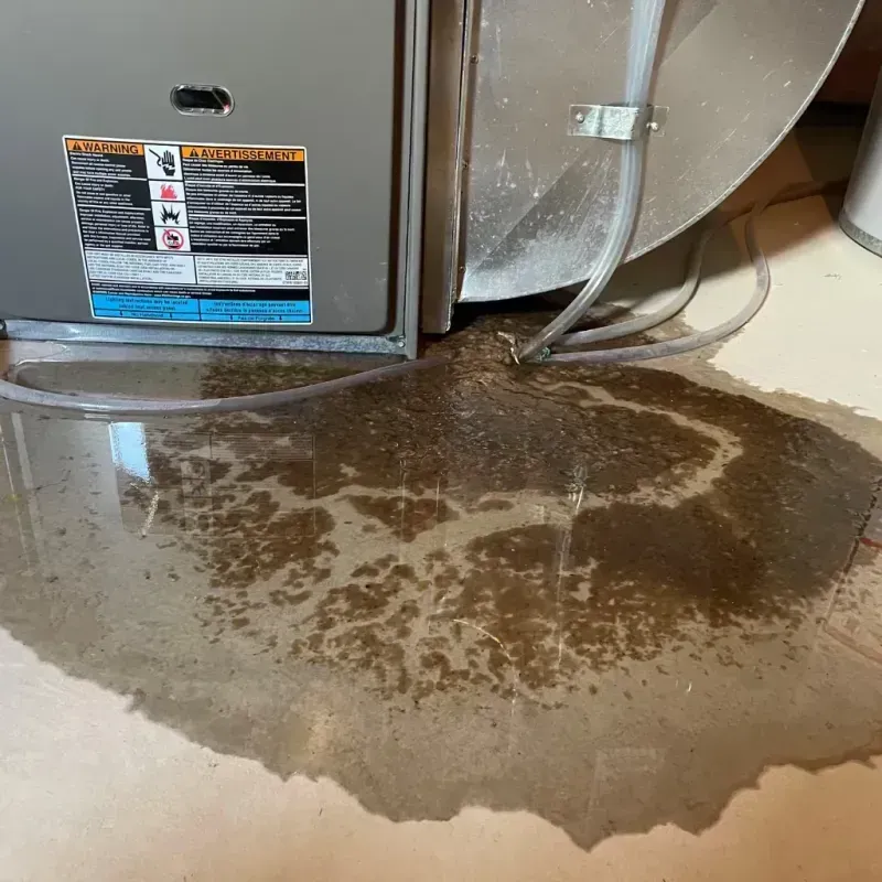 Appliance Leak Cleanup in Quakertown, PA